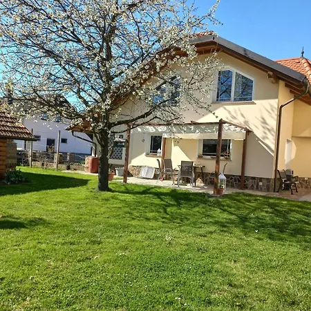 Sunny And Comfortable With Terrace And Garden - Two Bedroom With Terrace Apartment Recica ob Savinji